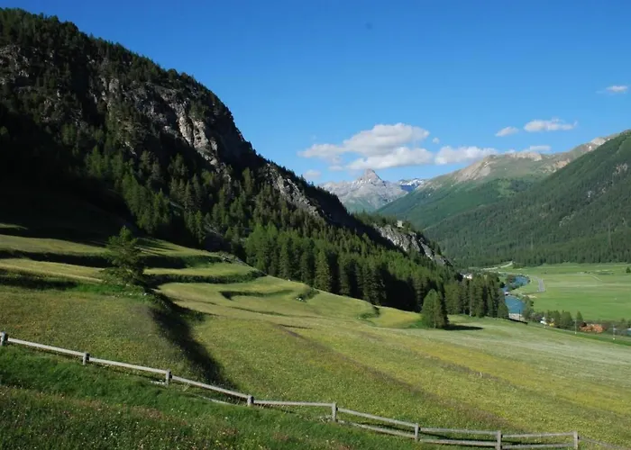 Apartamento Chesa Arnica A1 By Interhome La Punt-Chamues-ch