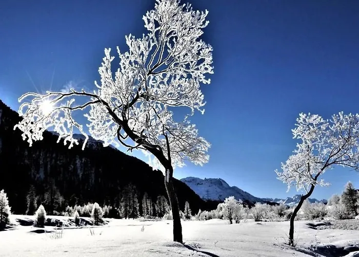 Chesa Arnica A1 By Interhome